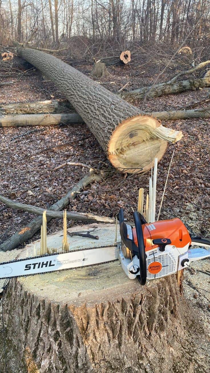 AM Tree Service team